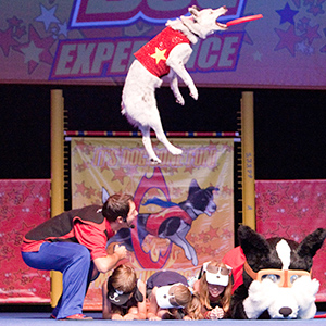 All-Star Stunt Dog Show