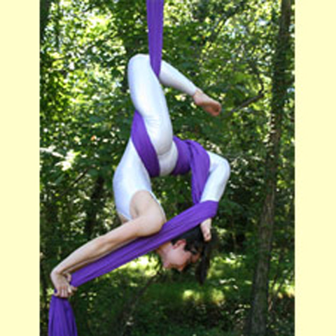 Flying Meatball Circus Aerial Artistry Clowns Acrobatics Magic Stunts