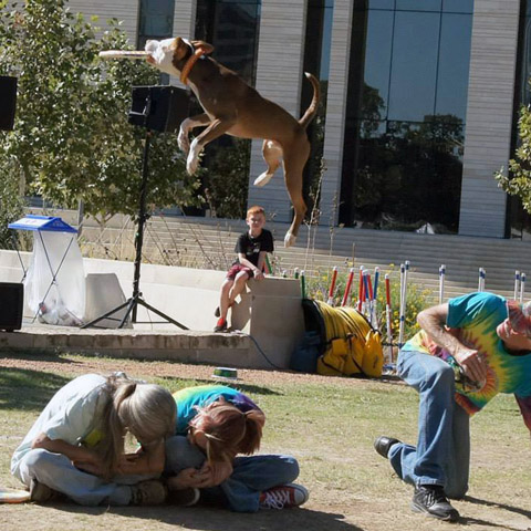 Good Karma K9Z Canine Dog Entertainment Act
